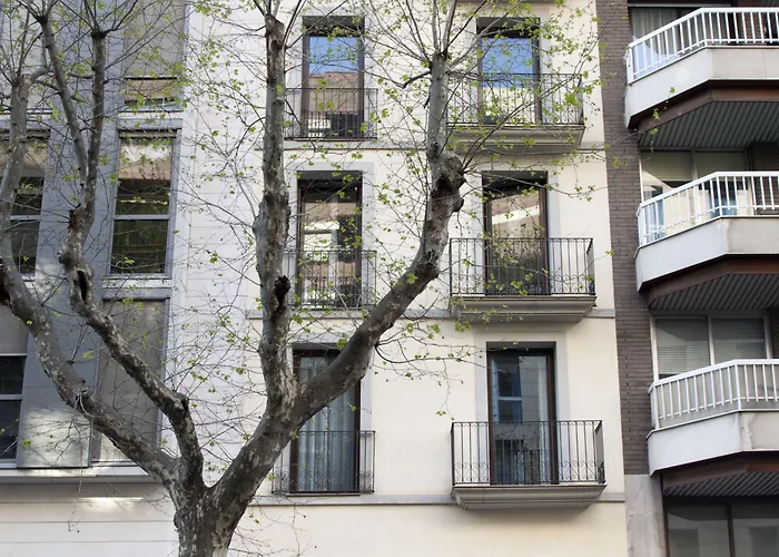Up Bcn Apartamento